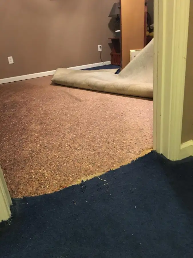 Carpet pad removal revealing water damage during Water Mitigation Services in Darien