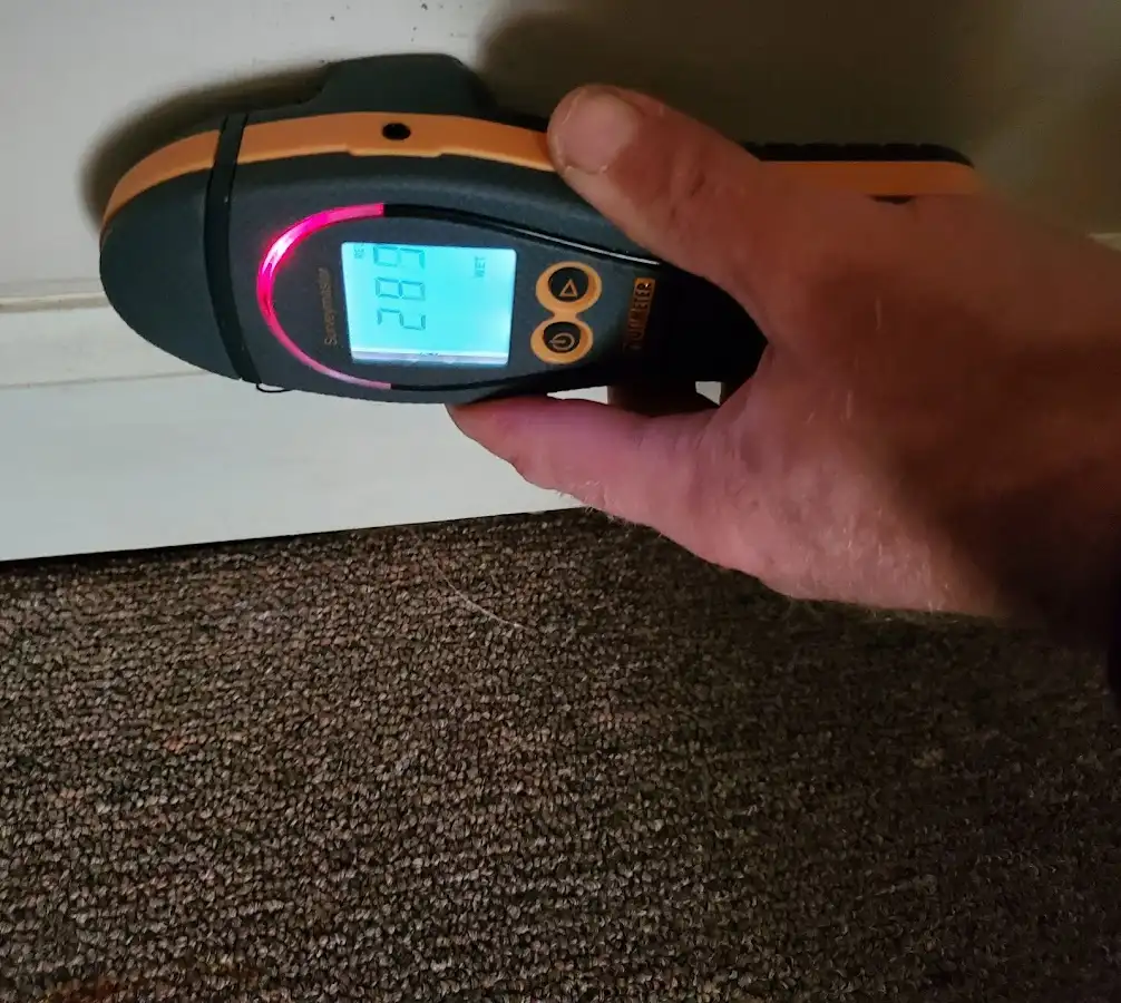 Moisture detection at baseboard during Sewage Cleanup & Sanitation in Darien